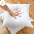 Filled Cushion pack of 2